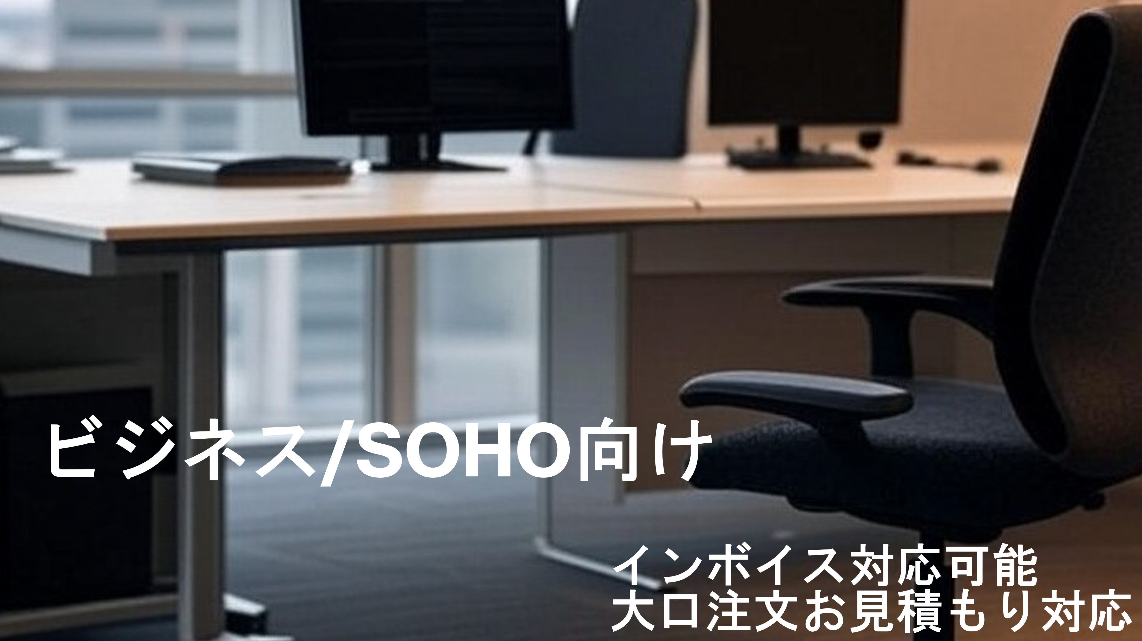 ビジネス/SOHO向け