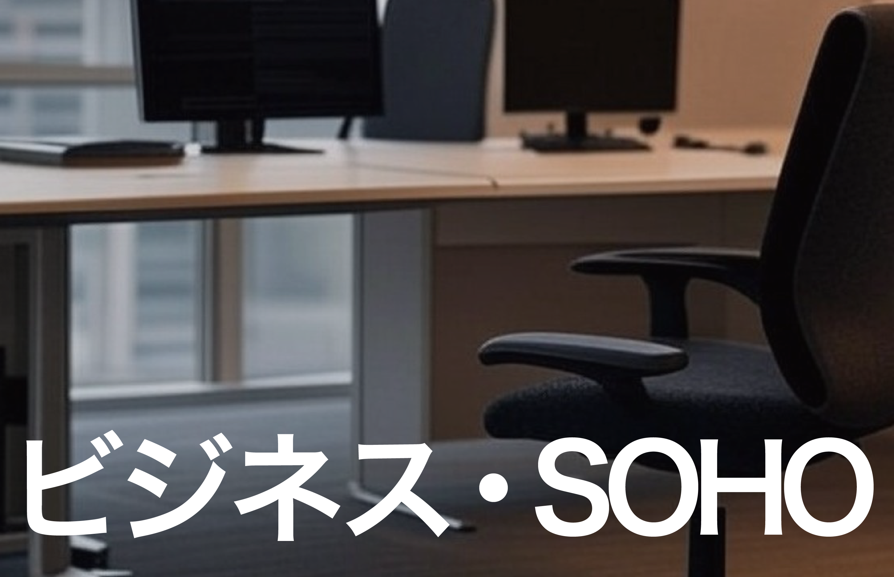 ビジネス/SOHO向け