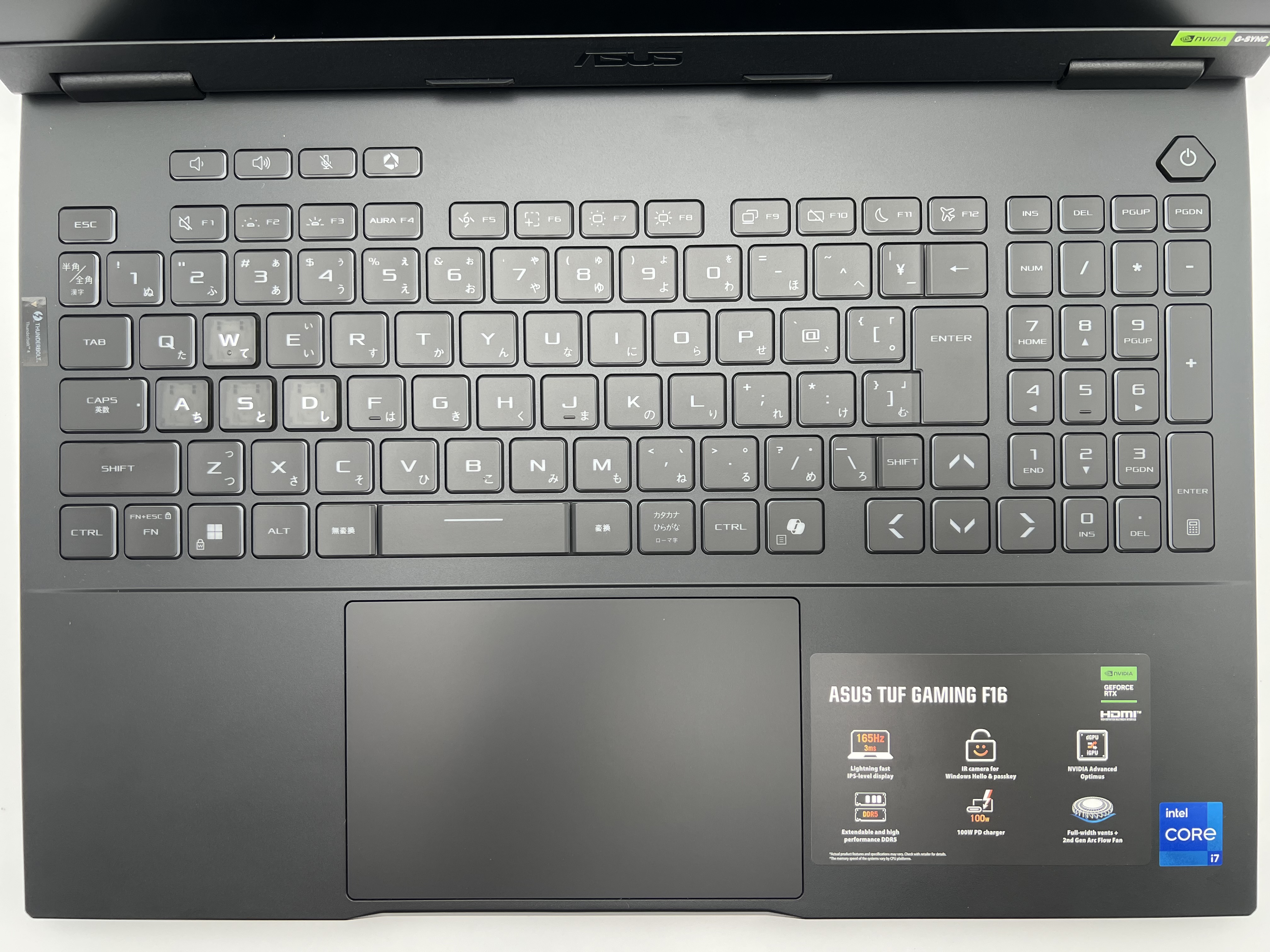 【アウトレット】TUF Gaming F16 FX608JMR Core i7 14650HX・32GBメモリ・1TB SSD・RTX 5060・16型WUXGA液晶搭載モデル FX608JMR-I7R5060Y [イェーガーグレー]