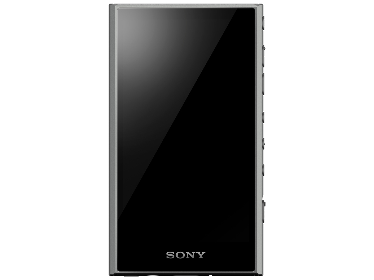 SONY NW-A306 (H) [32GB グレー]