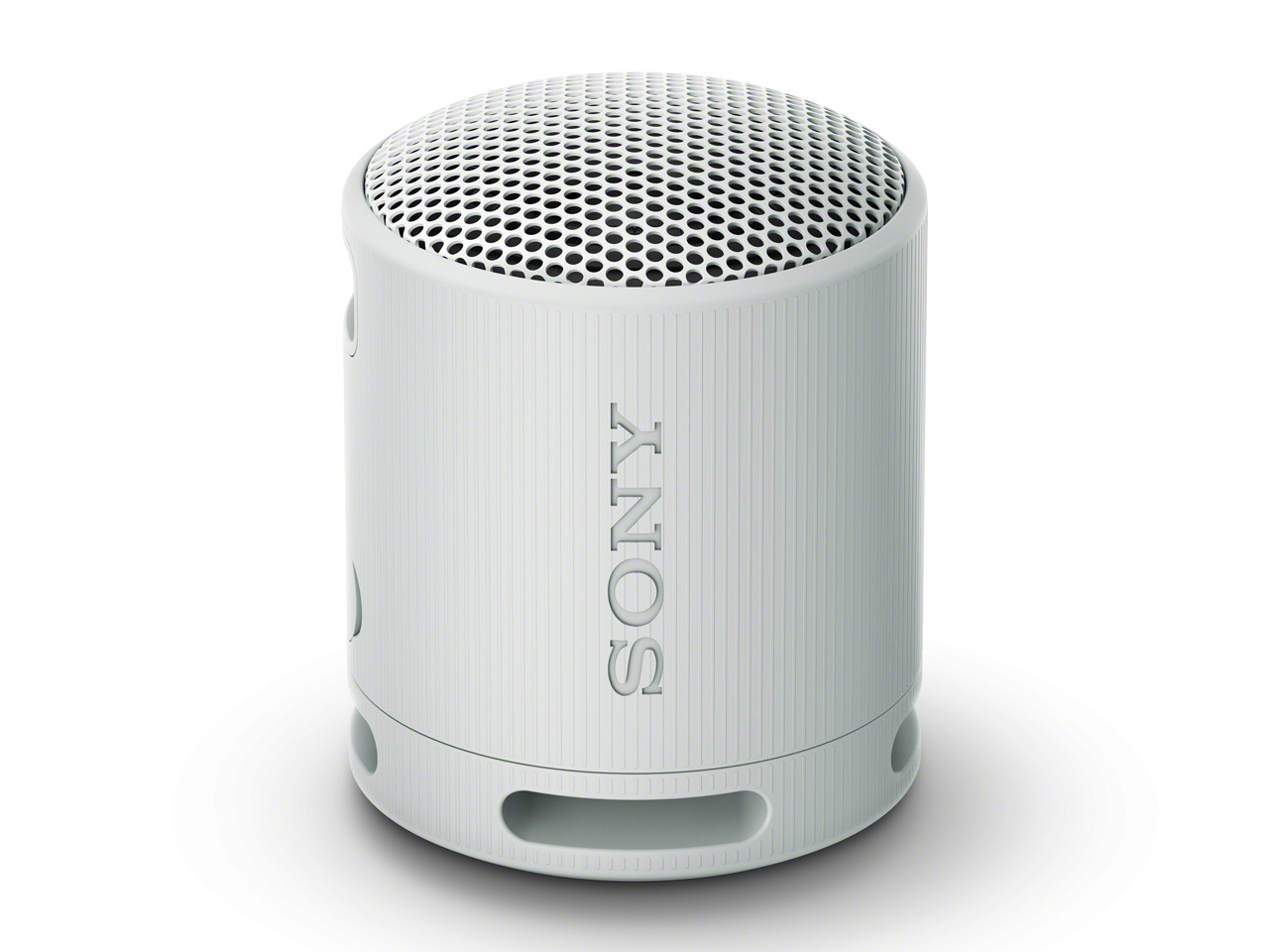 SONY SRS-XB100 (HC) [ライトグレー]