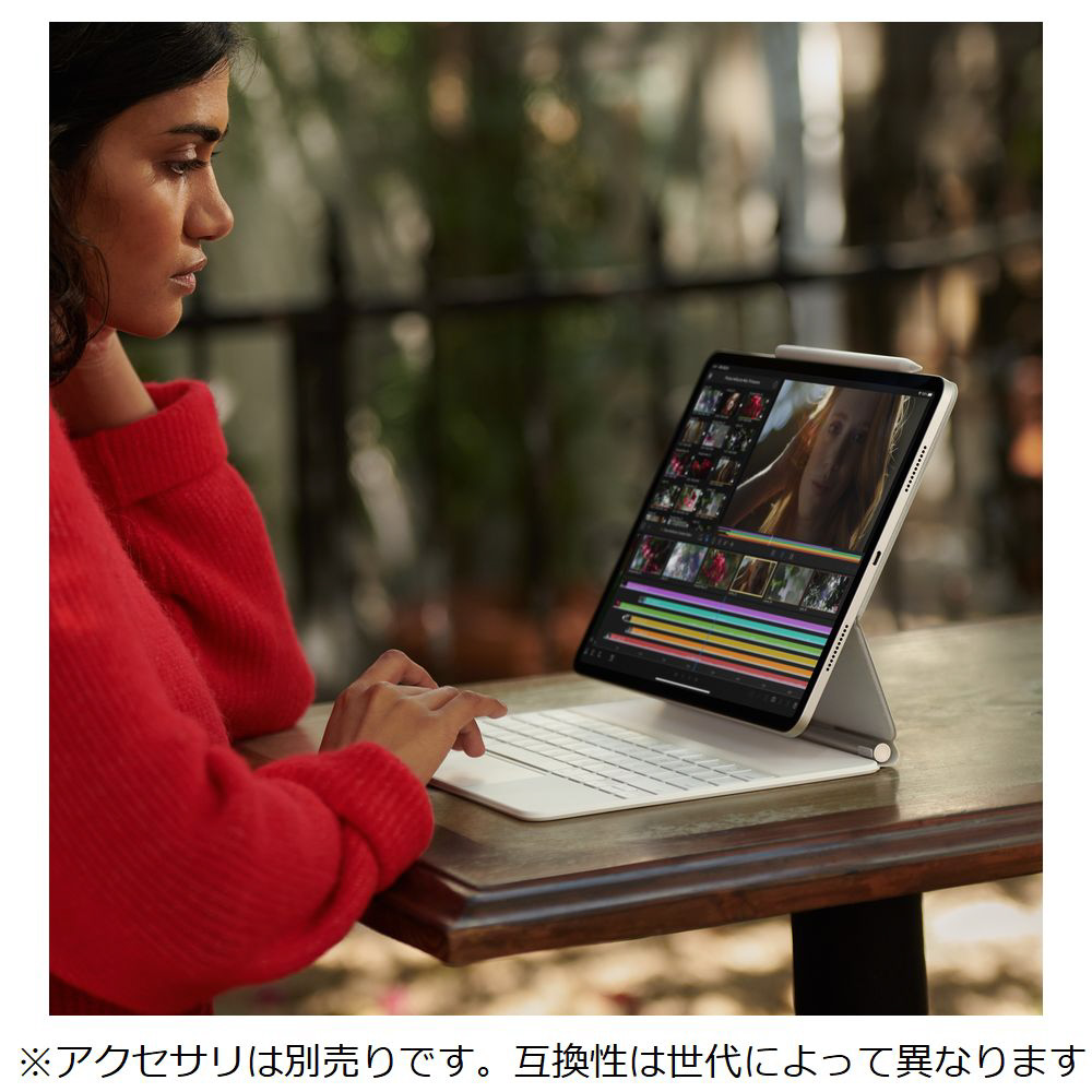 iPad Pro 12.9インチ (第2世代) Wi-Fi グレイ-