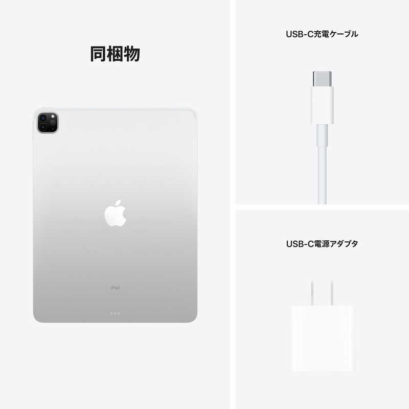 ipad pro 12.9 第五世代 256GB