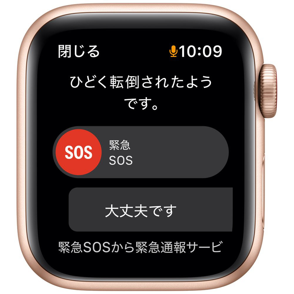 Apple Watch SE GPS+Cellularモデル 40mm MKQY3J/A [メイズ/ホワイト ...