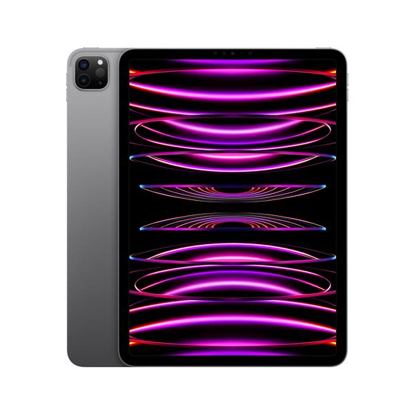 Apple iPad Pro 11インチ 第4世代 Wi-Fi 1TB 2022年秋モデル MNXK3J/A [スペースグレイ]
