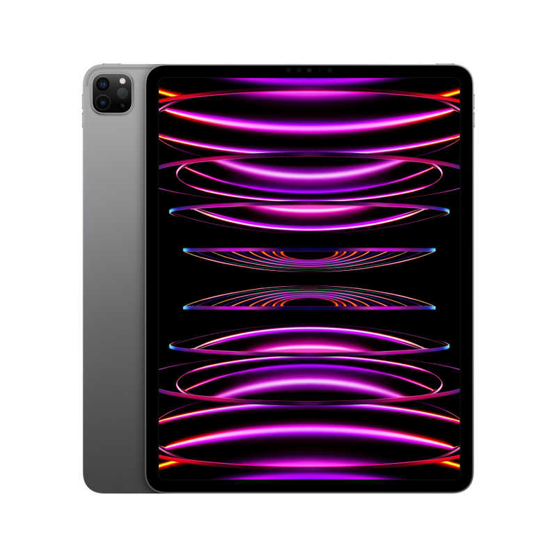 Apple iPad Pro 12.9インチ 第6世代 Wi-Fi 256GB 2022年秋モデル MNXR3J/A [スペースグレイ]