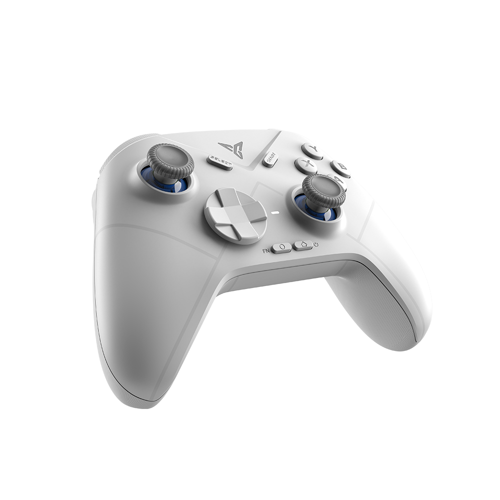 【訳あり品】【箱破損】【未開封・未使用】Flydigi DIREWOLF 3（メーカー保証付き）