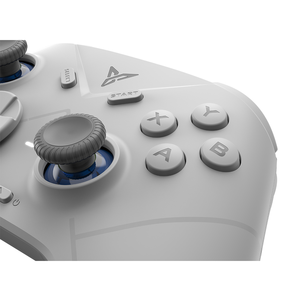 【訳あり品】【箱破損】【未開封・未使用】Flydigi DIREWOLF 3(メーカー保証付き)