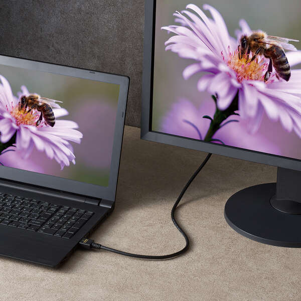 ELECOM ウルトラハイスピードHDMI(R)ケーブル DH-HD21E20BK [2m]