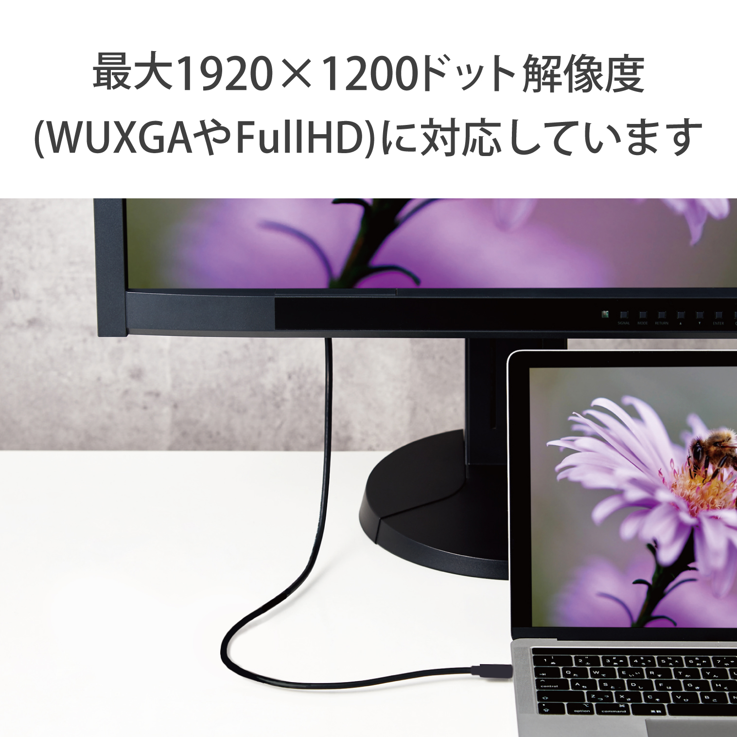 ELECOM MiniDisplayPort-HDMI変換ケーブル AD-MDPHDMI10WH