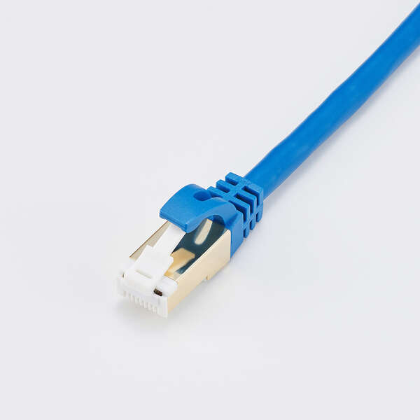 ELECOM Cat7 LANケーブル(スタンダード・ツメ折れ防止) LD-TWST/BM100 [10m ブルーメタリック]