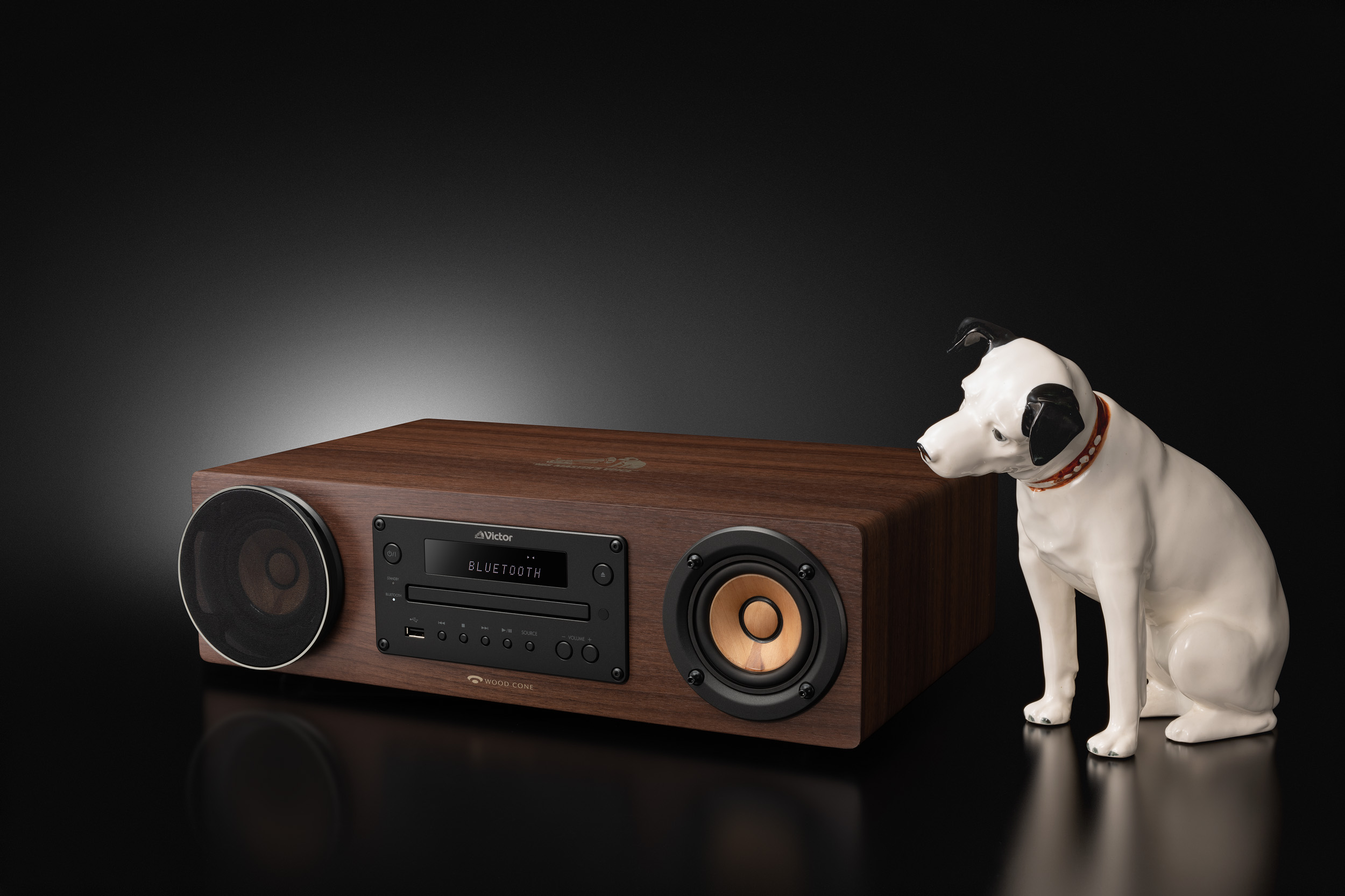 JVC Victor WOOD CONE EX-D6